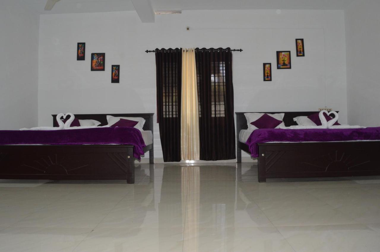 Dream View Homestay